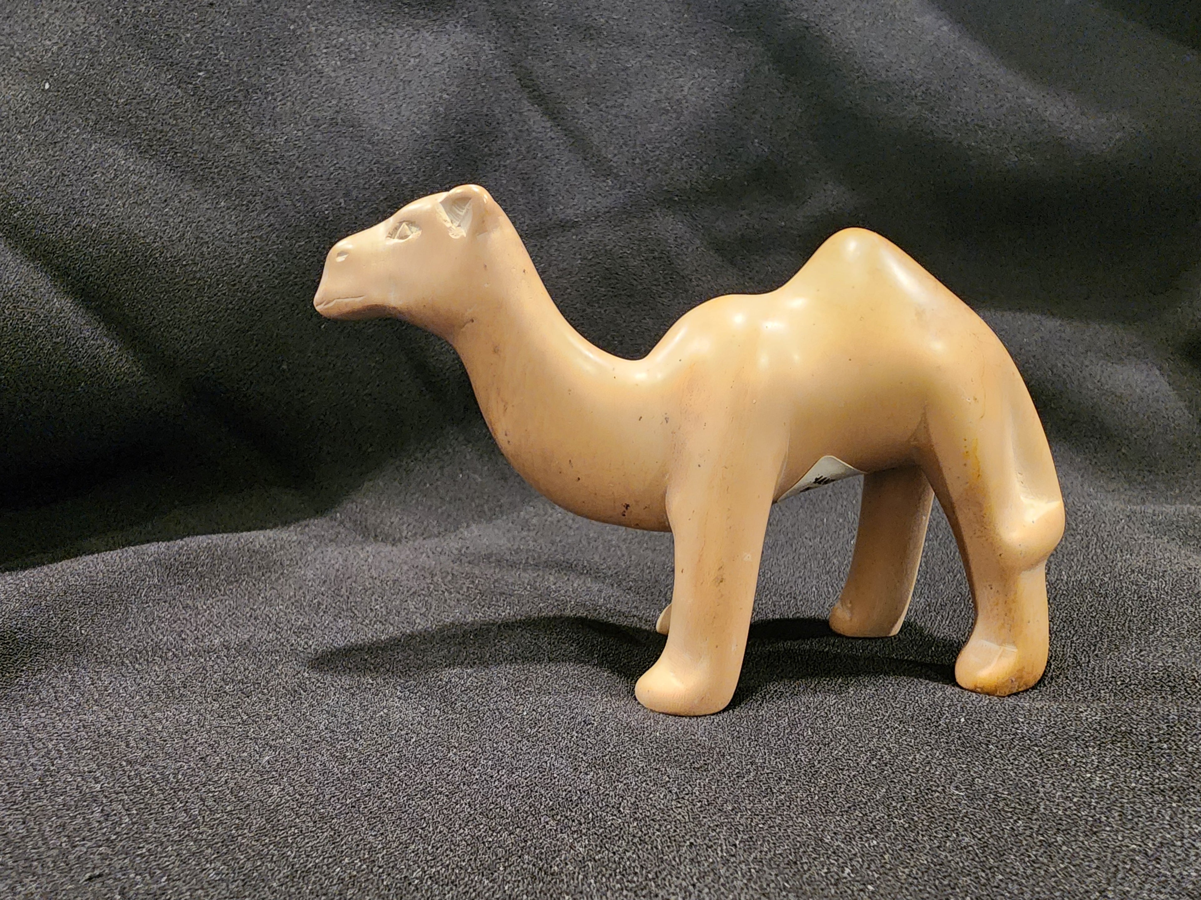 Camel carved in stone