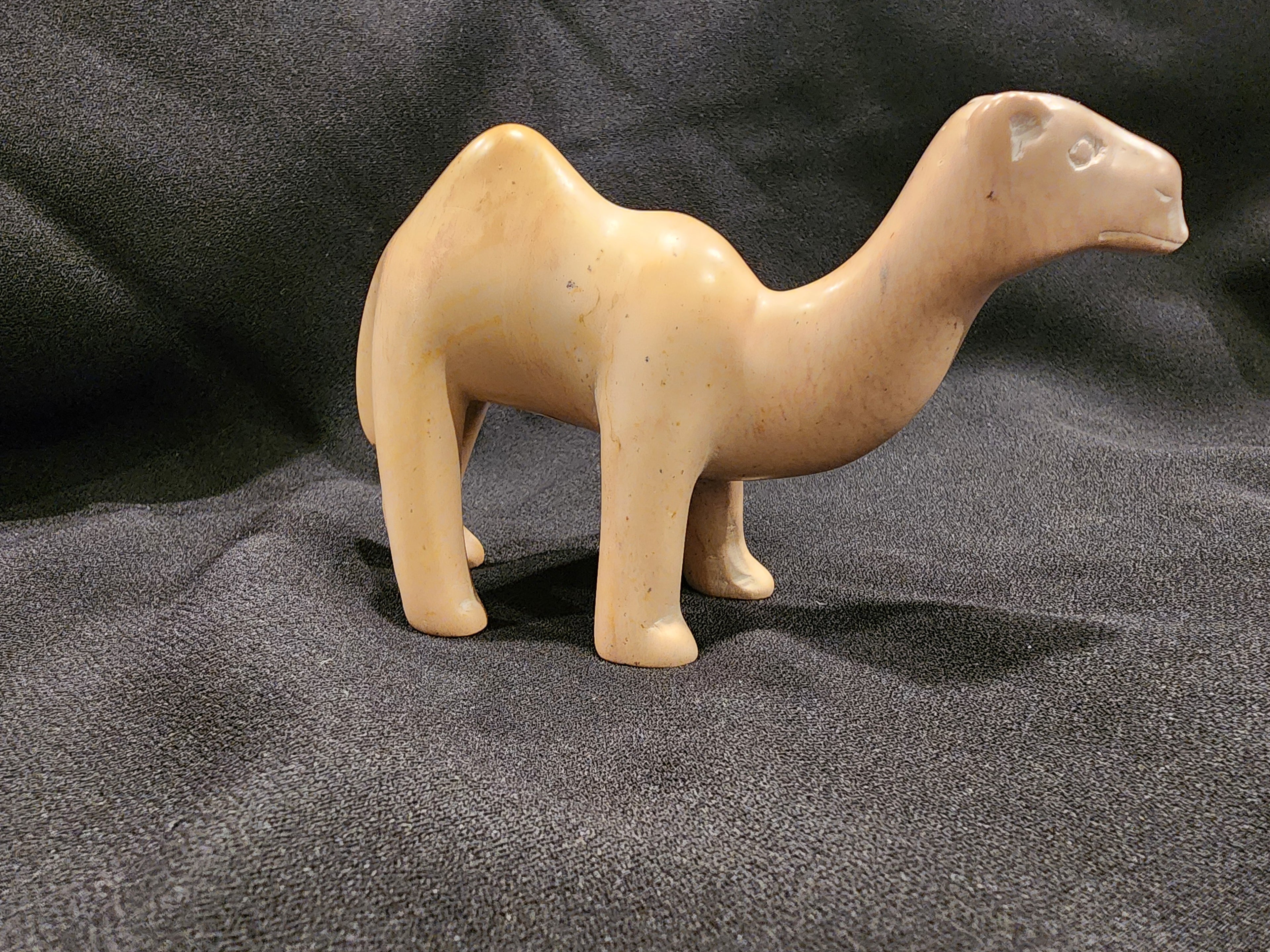 Camel carved in stone