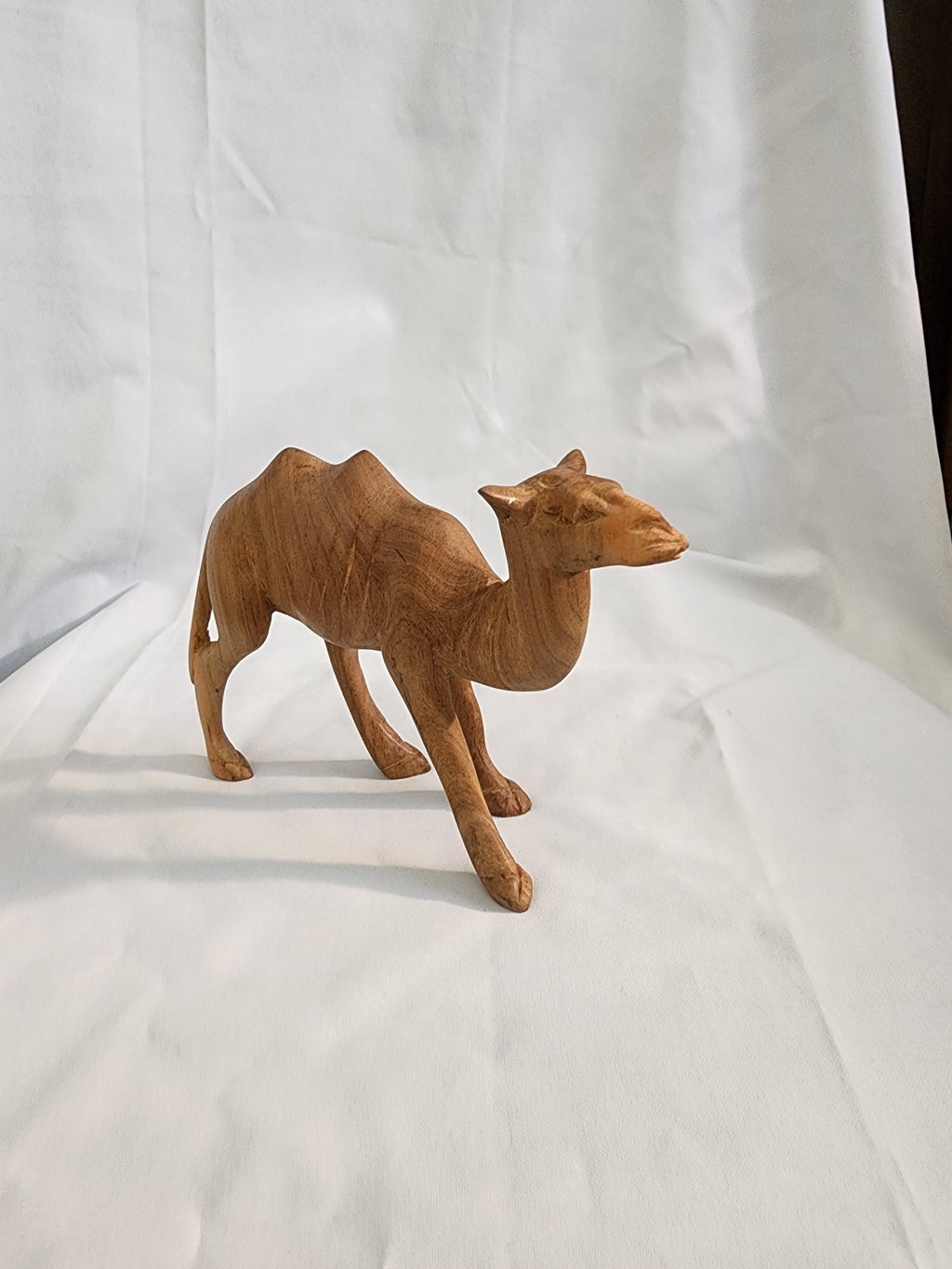 Camel hand carved